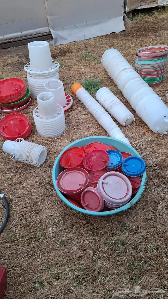 مستلزمات طيور 2