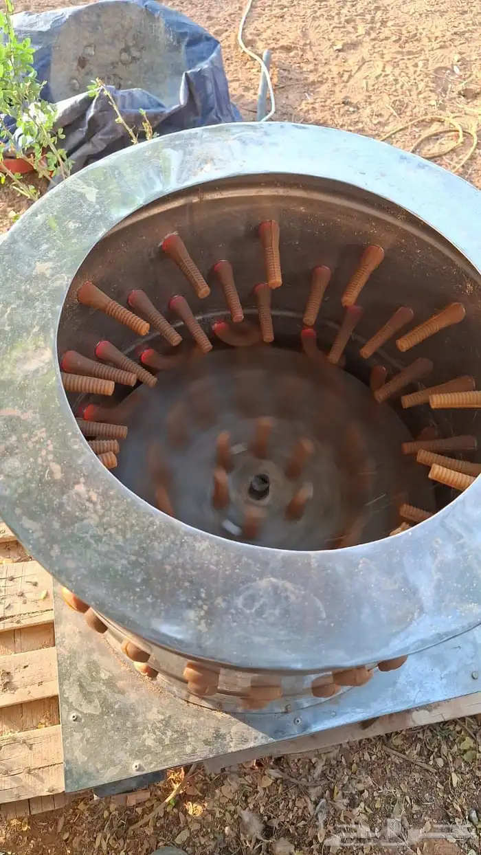 مستلزمات طيور 19