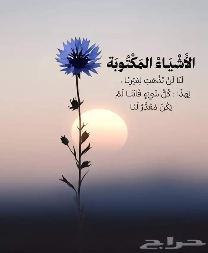 حل مشاكل الفحص و الاقرارات الضريبيه 1