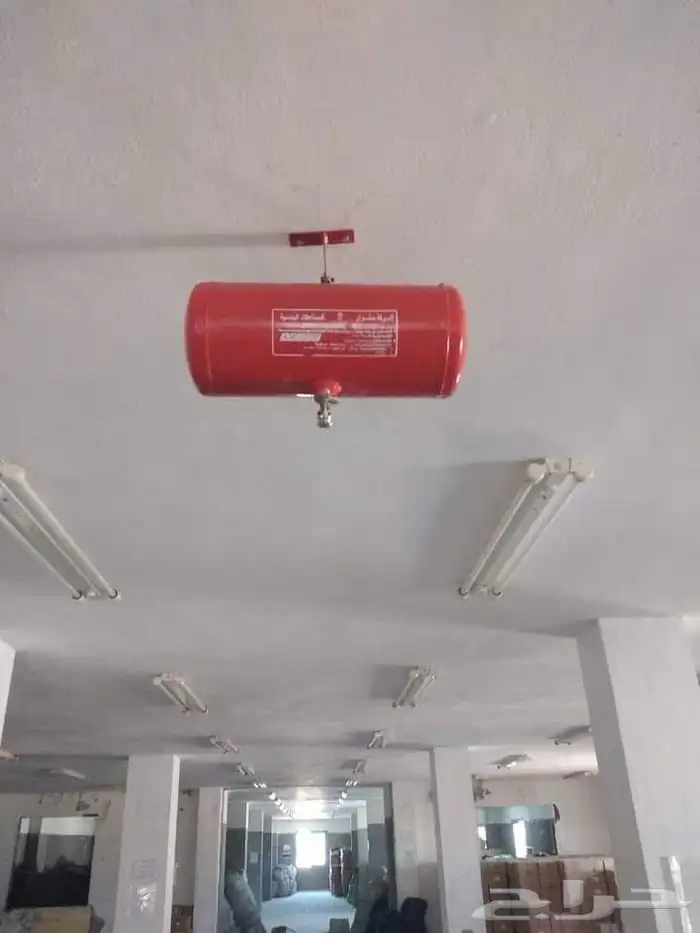 يحي المعلمي 8