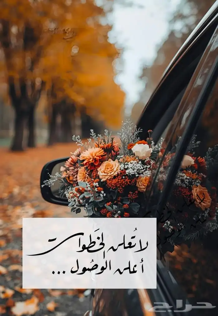 حل مشاكل الفحص و الاقرارات الضريبيه 2