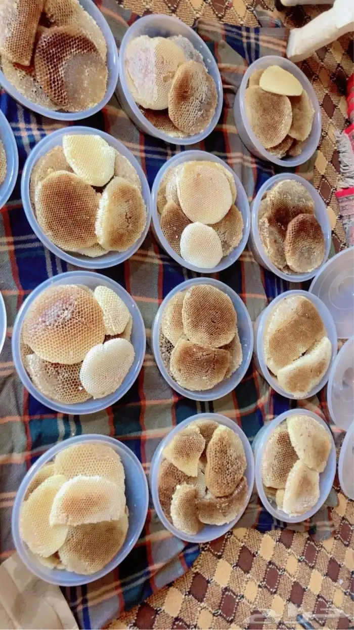 عسل سدر بلدي مضمون 1