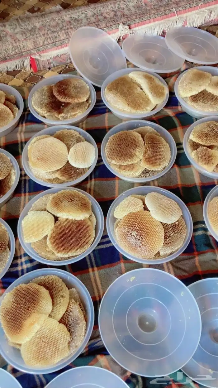 عسل سدر بلدي مضمون 0