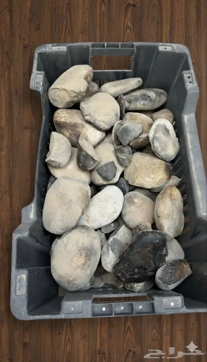 حجر المضبي للشوي 5