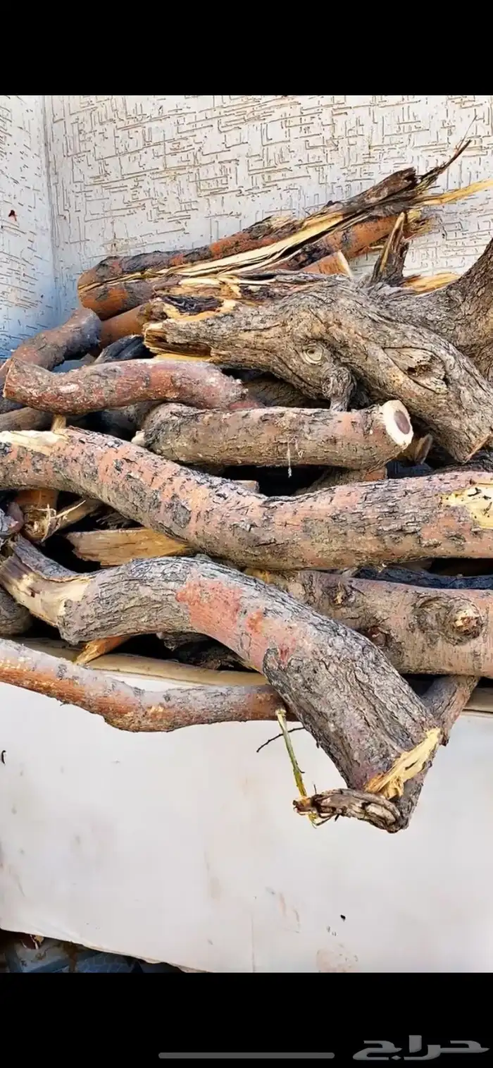 حطب مستورد أفريقي 3