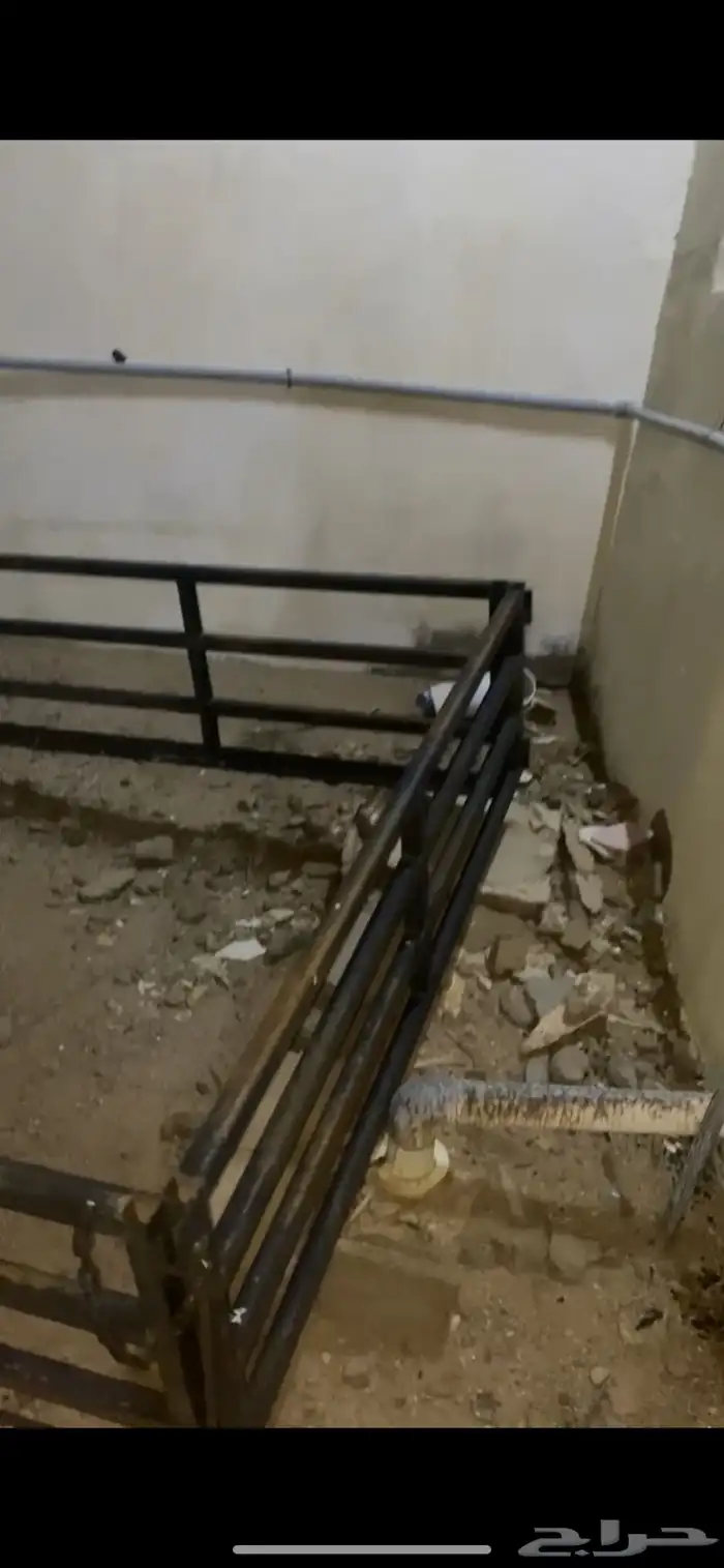 شد حق ددسن غمرتين 1