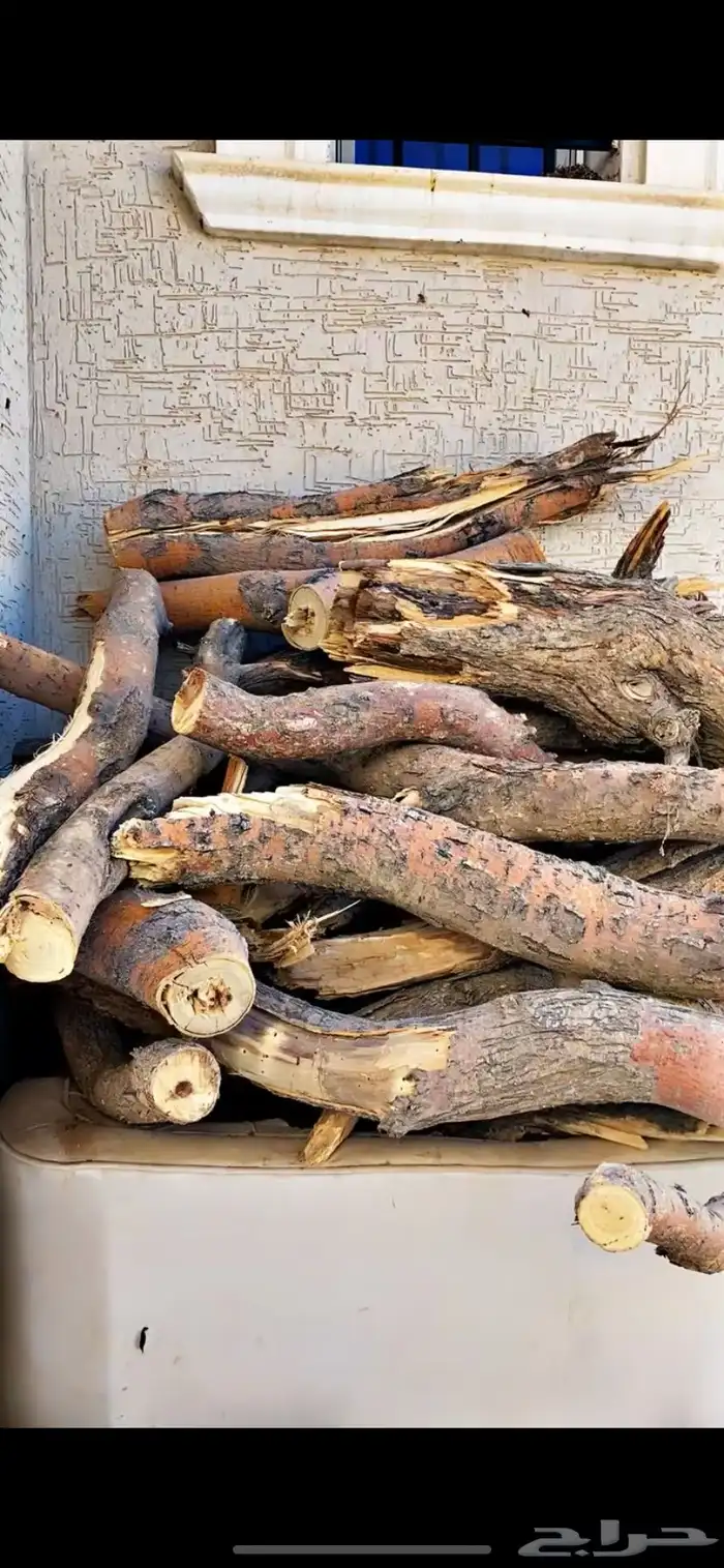 حطب مستورد أفريقي 2