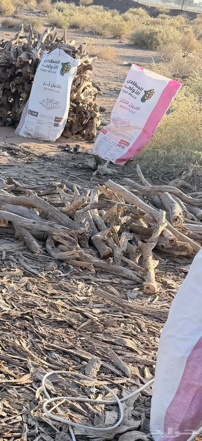 حطب مستورد س م ر 1