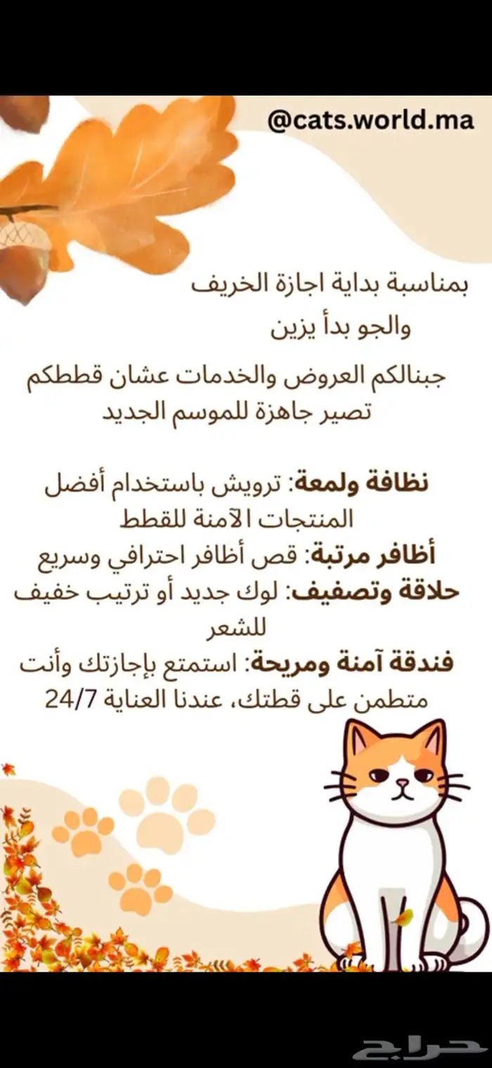 فندقه ترويش حلاقه خدمات قطط 0