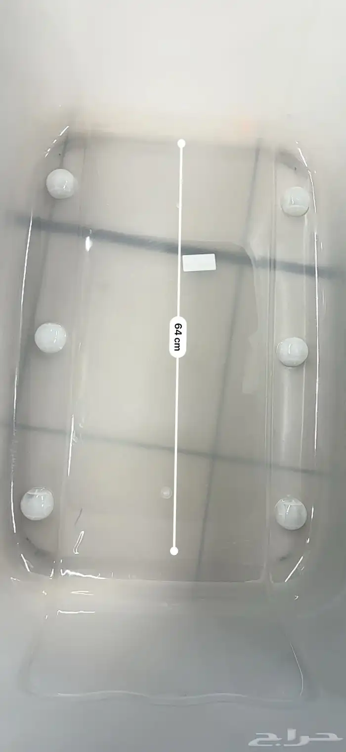 سلحفاة سولكاتا صغيرة 6