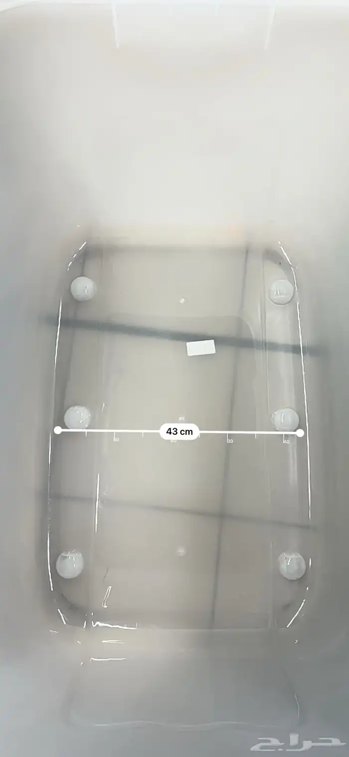 سلحفاة سولكاتا صغيرة 5