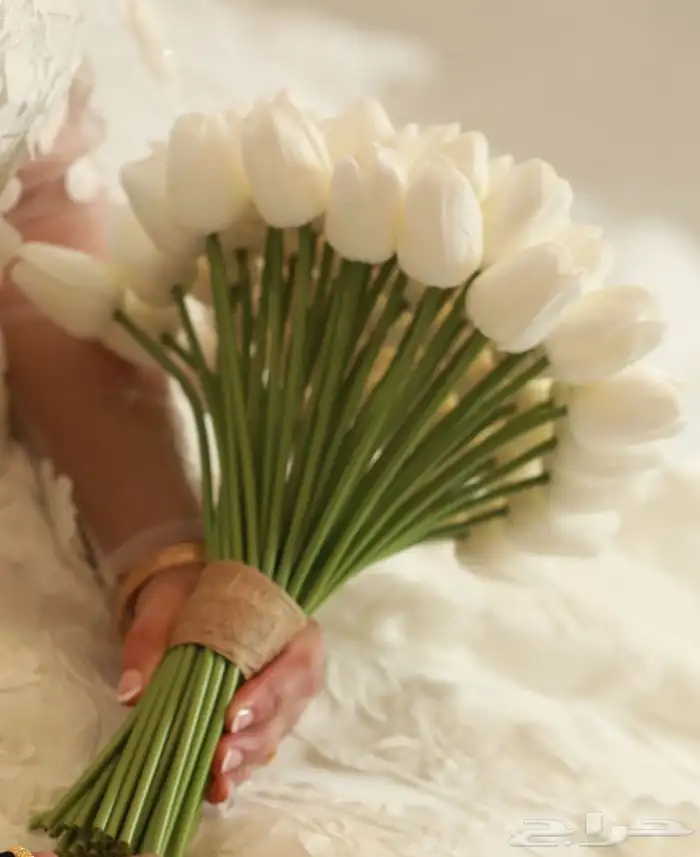 مسكة عروسة (ورد التوليب) 1