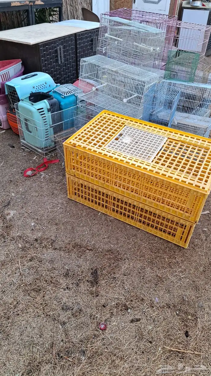 مستلزمات طيور 1