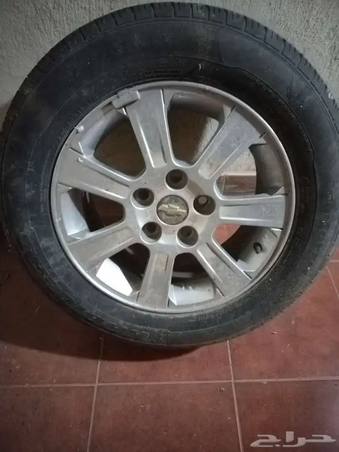 جنوط كابرس 2009 1