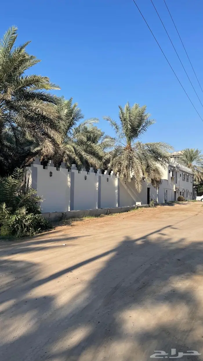 للبيع مزرعة وسكن الاحساء قرية الساباط 0