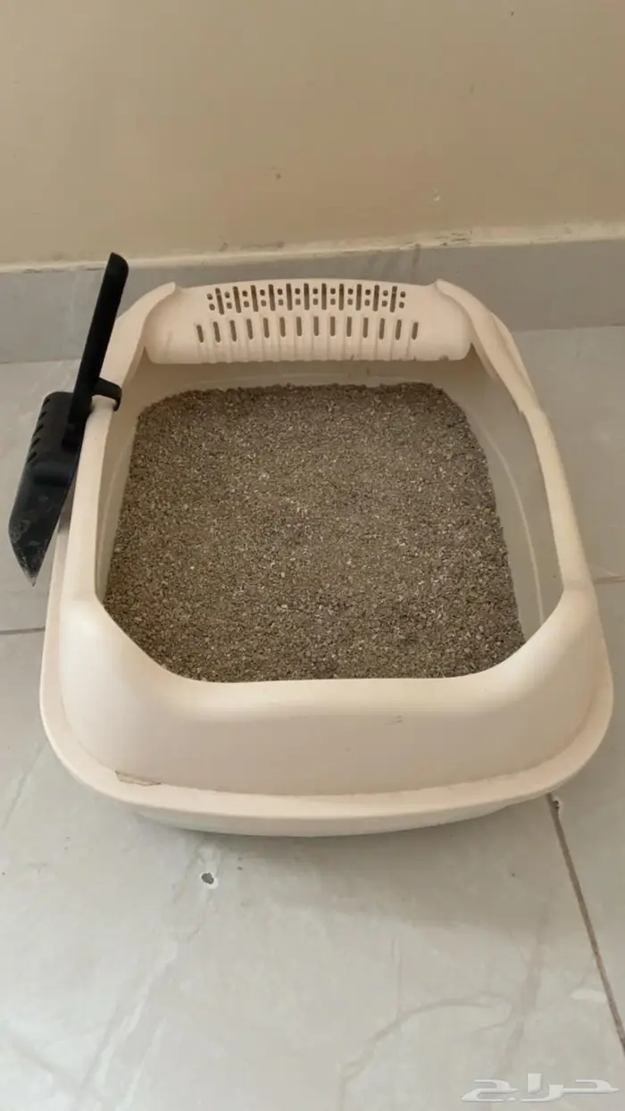 حي الشعله الدمام 6