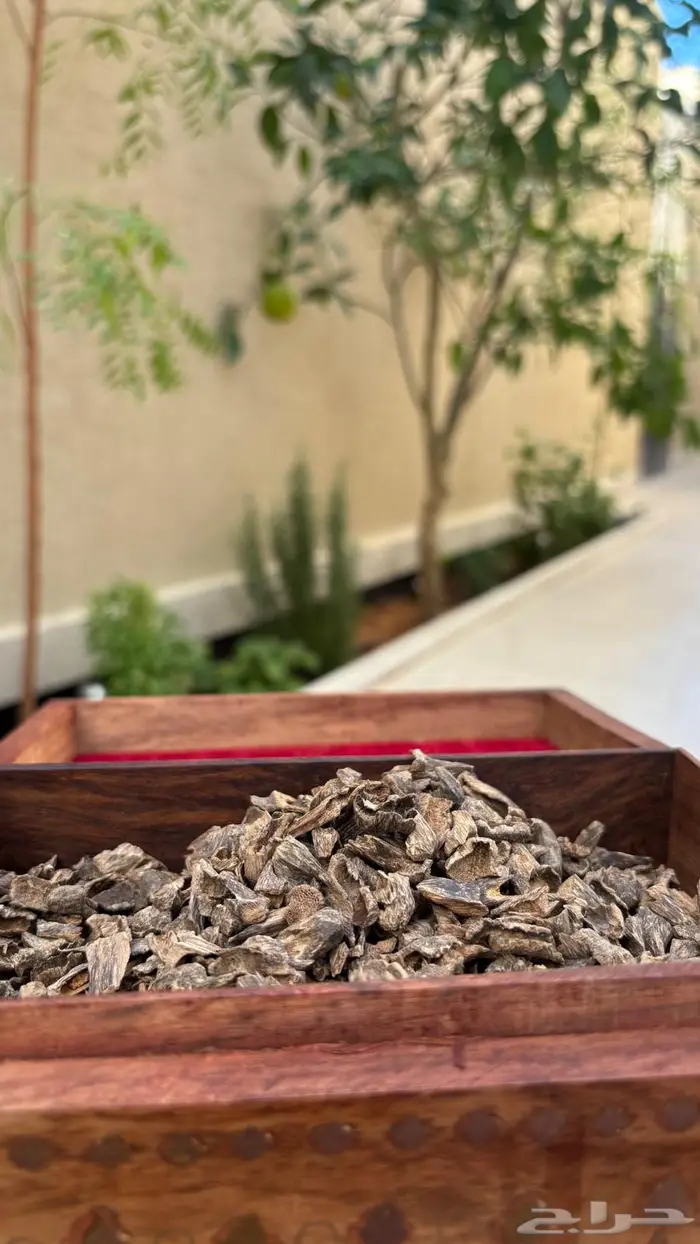 عود هندي طبيعي تجميع خاص موري 1