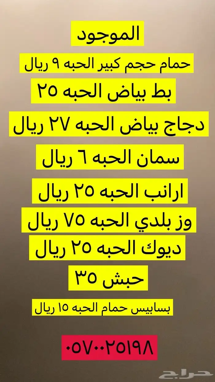 دجاج وبط ووز وبسابيس حمام وحبش 6