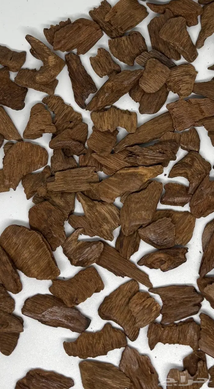 عود مروكي طبيعي صفايح بالكامل حجم ميني دبل سوبر بالغالب 0