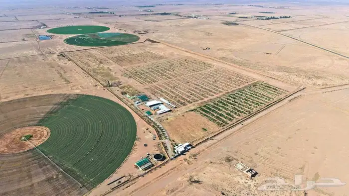 مزرعة للبيع في حائل 7