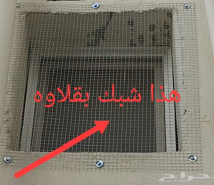 شبك طارد الحمام 6