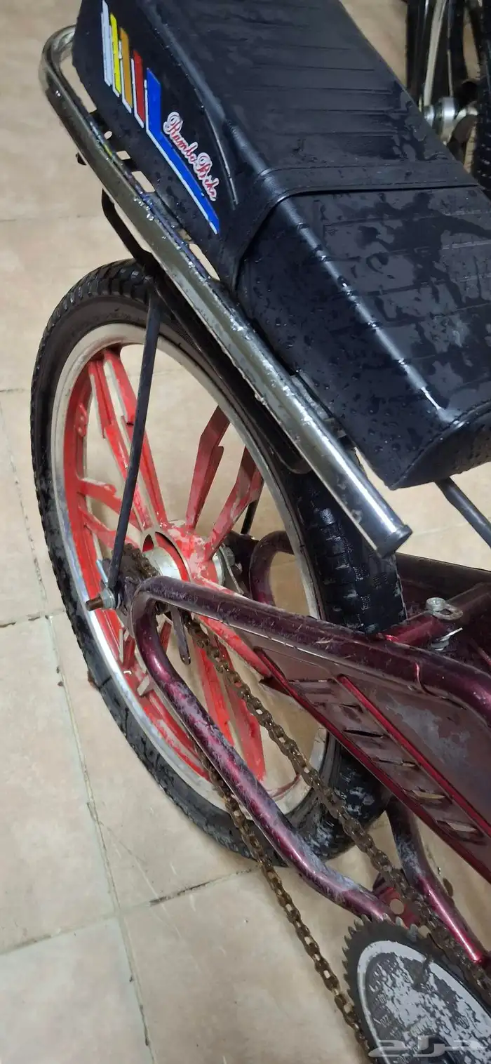 للبيع سيكل رامبو 0