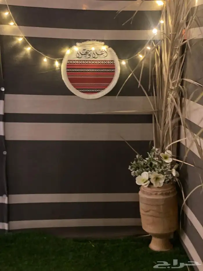 مخيمات جدة 30