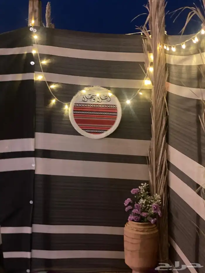 مخيمات جدة 11