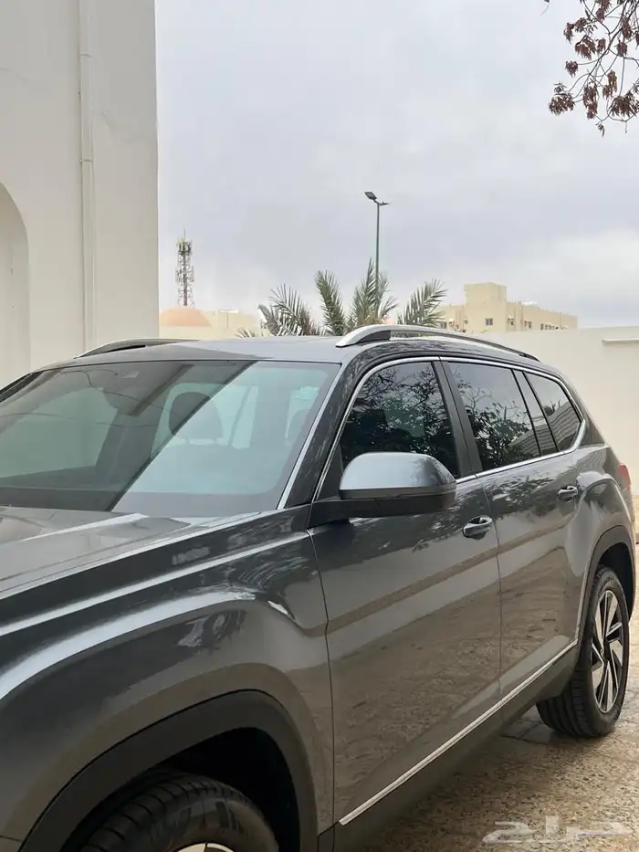 تيرامونت 2024 4