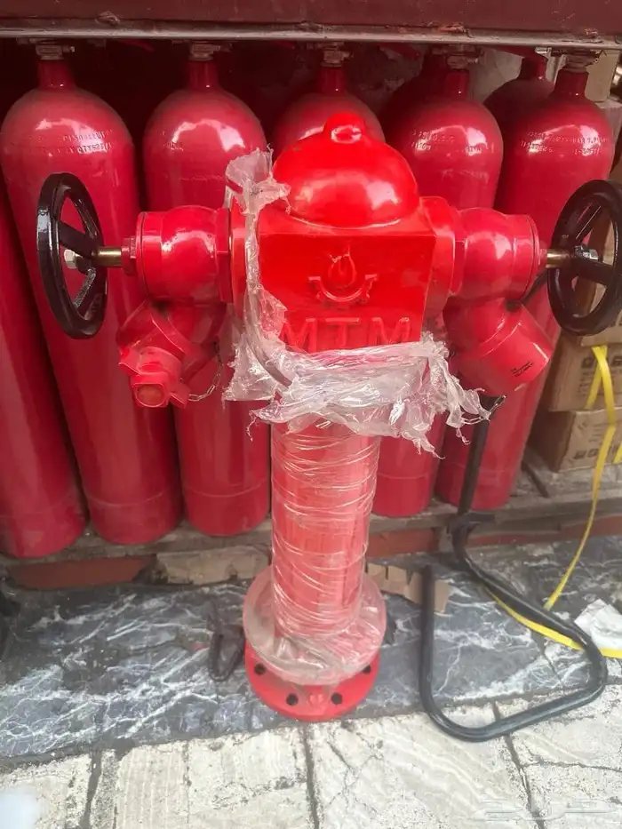 يحي المعلمي 8