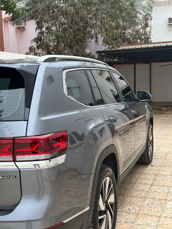 تيرامونت 2024 2