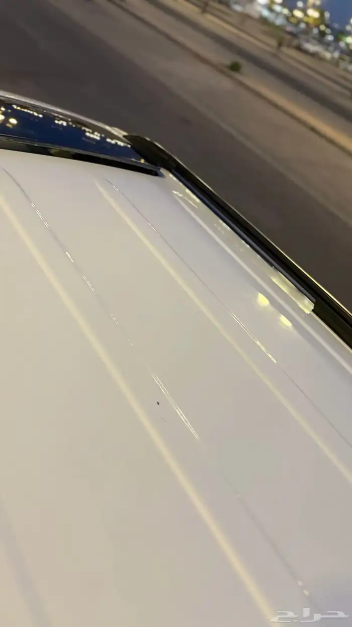 سيكويا ليمتد 2013 ( يوجد تقرير موجز) 6