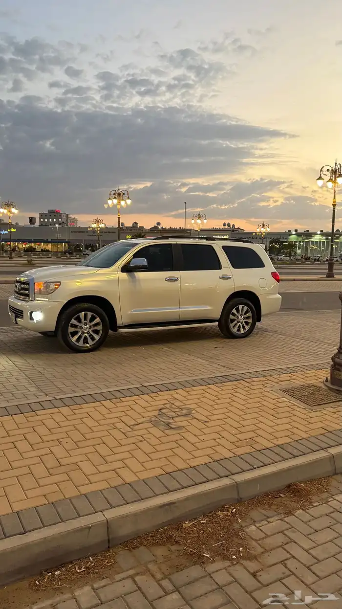 سيكويا ليمتد 2013 ( يوجد تقرير موجز) 28