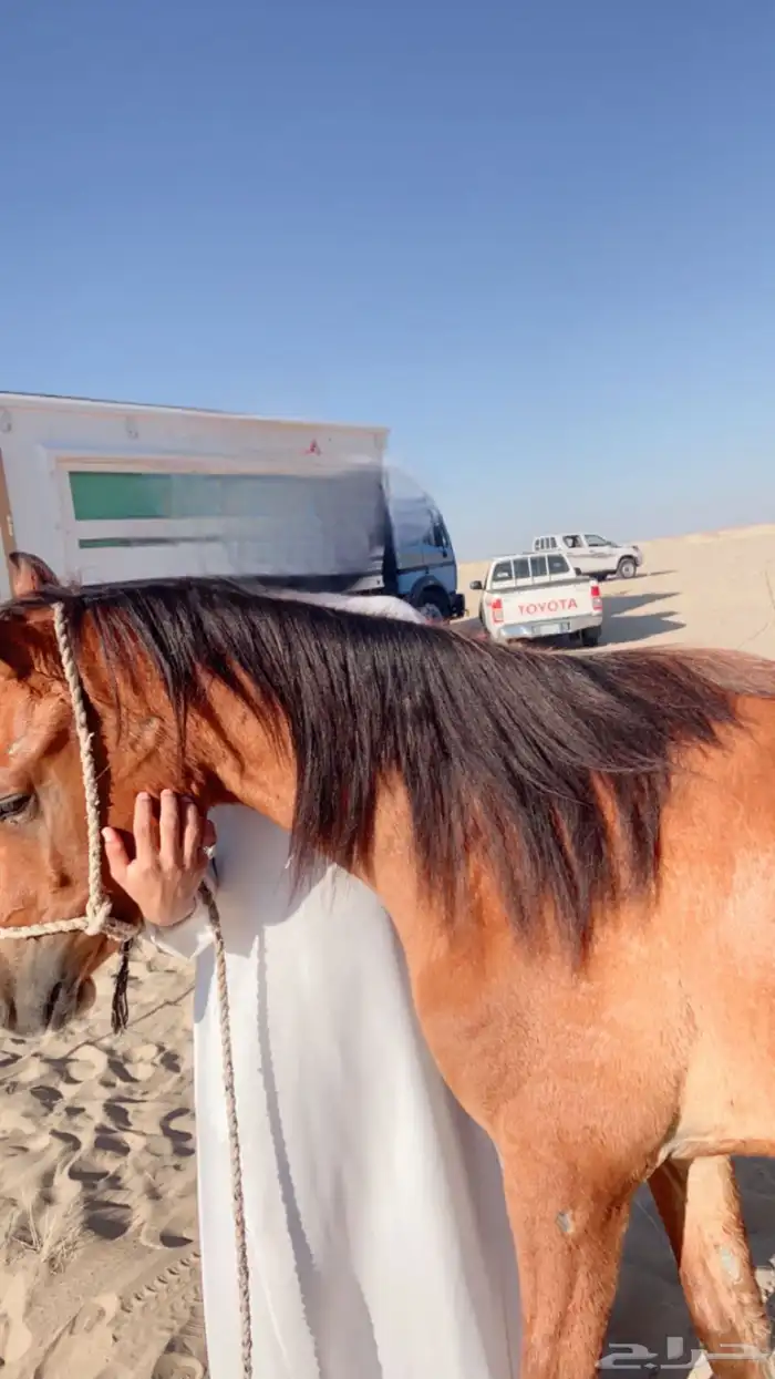 سلام عليكم 2