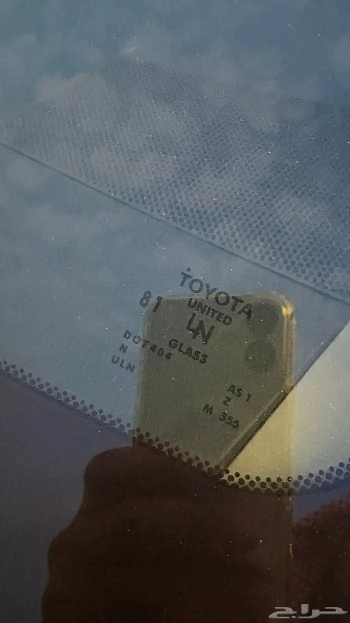 سيكويا ليمتد 2013 ( يوجد تقرير موجز) 19