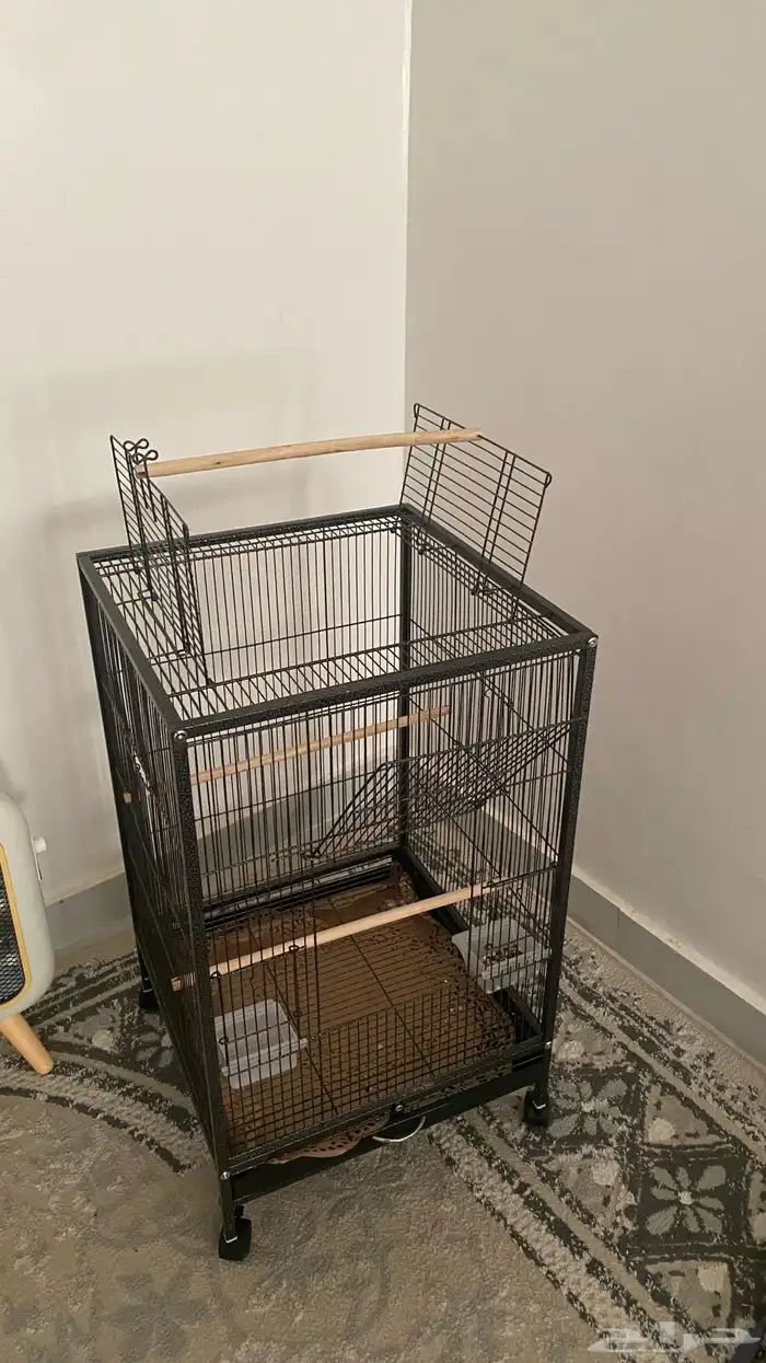 اغراض ببغاء 0