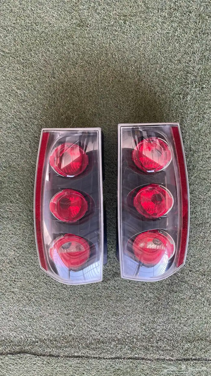 اسطبات و شبك دينالي 2