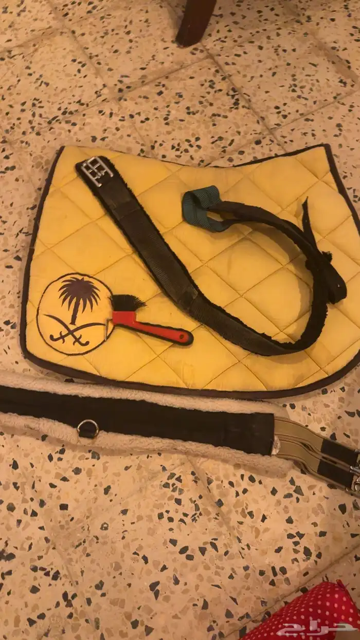 لبادت ركوب وحزام استيتس وادات تنضيف حوافر 1