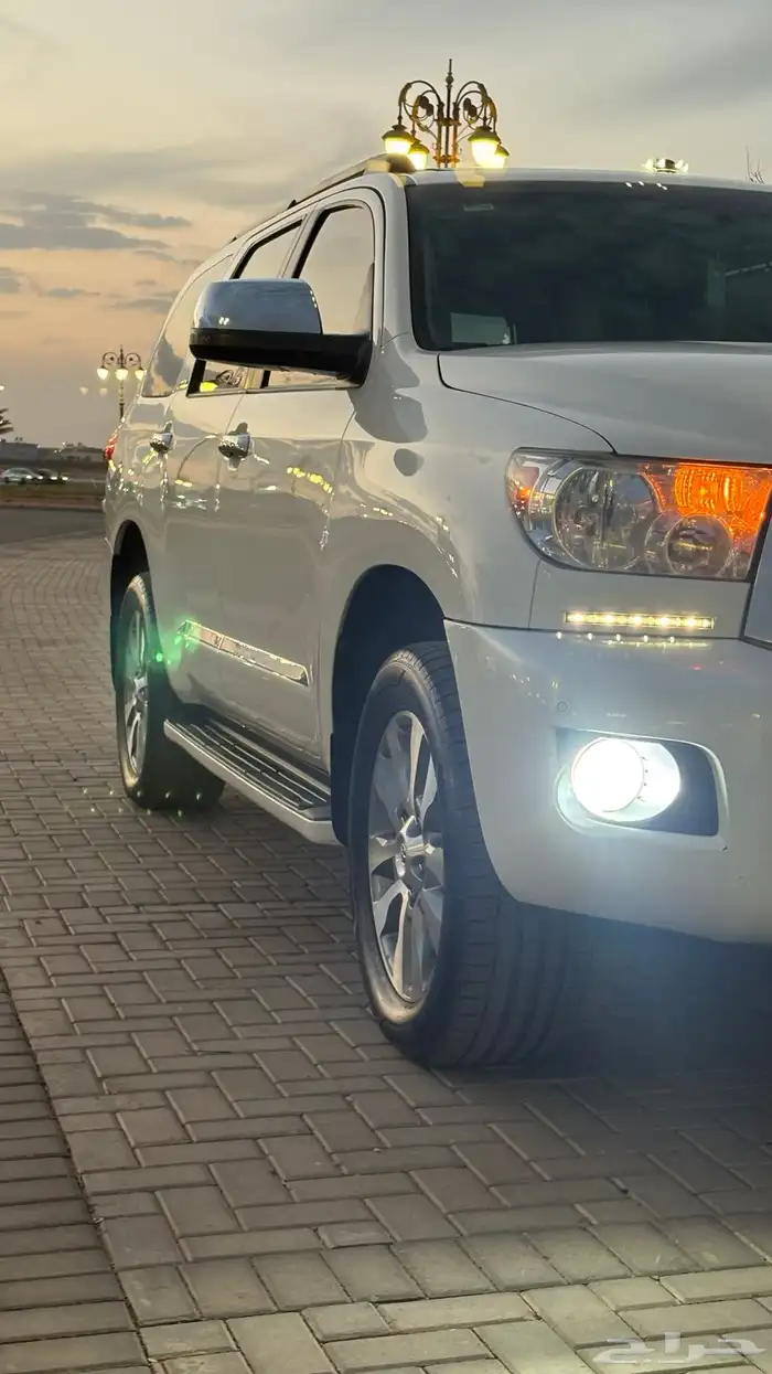 سيكويا ليمتد 2013 ( يوجد تقرير موجز) 31