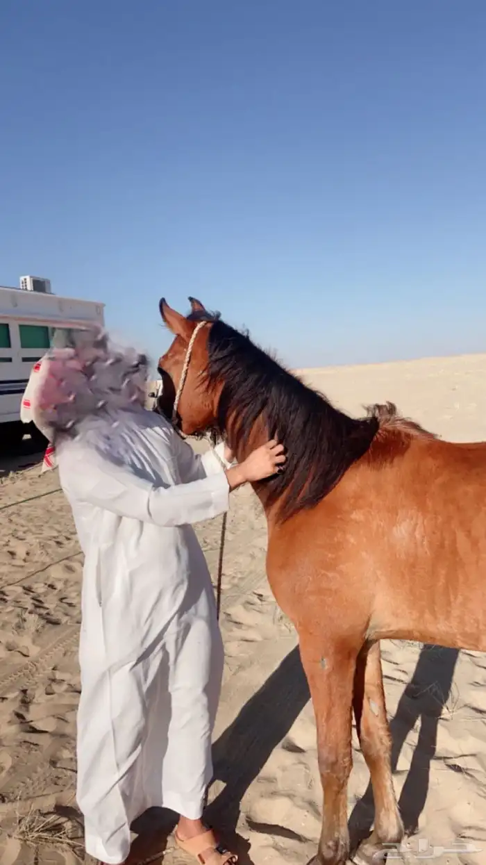 سلام عليكم 0