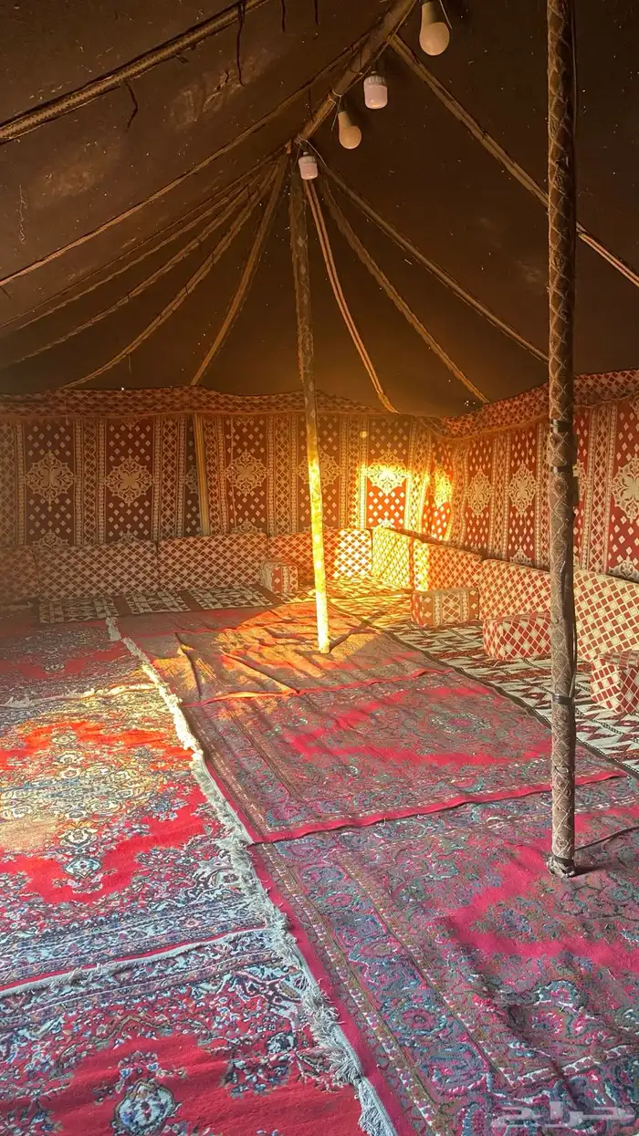 مخيم فاخر للايجار شمال الرياض - الحسي 11