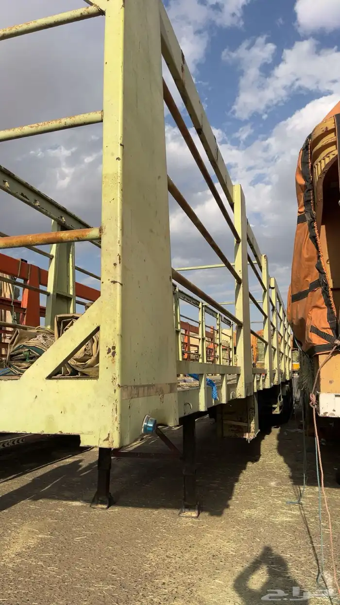 تبدر علف بألمع 1