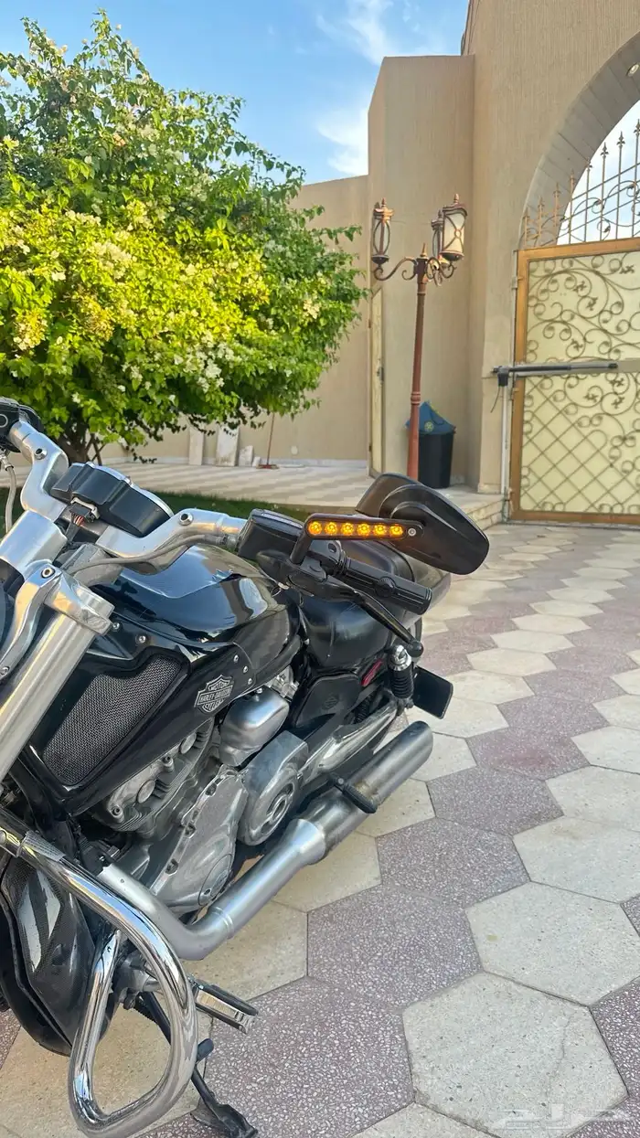 V ROOD في رود اسود 2011 11