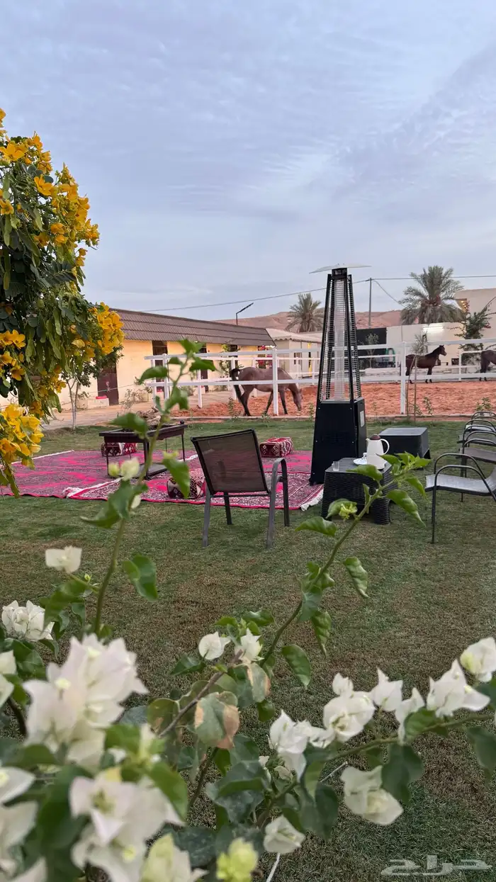 استراحة ومربط للإيجار 9