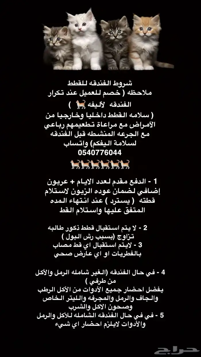 فندقة قطط في المدينه بفضل الله مايقارب 17 سنه 0