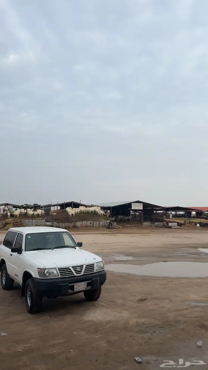 جيب ربع نسيان شد بلد موديل 2000 حكم 1