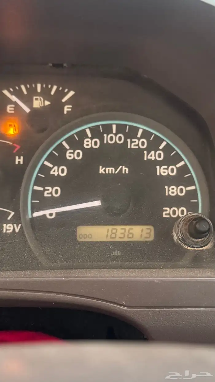 شاص 2015 فطيمي 11