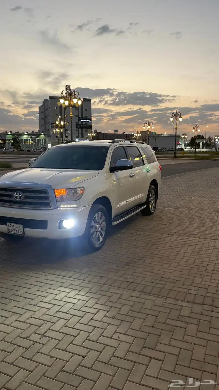 سيكويا ليمتد 2013 ( يوجد تقرير موجز) 29