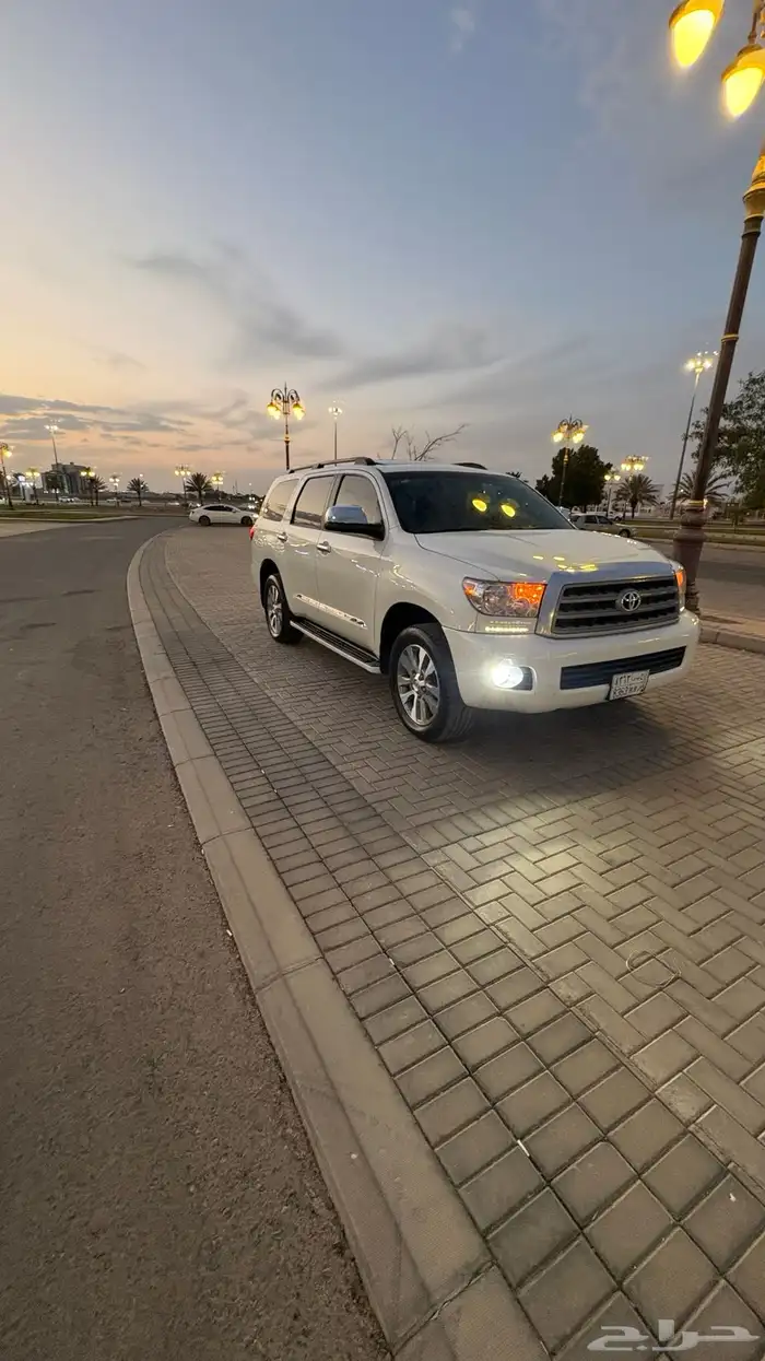 سيكويا ليمتد 2013 ( يوجد تقرير موجز) 32