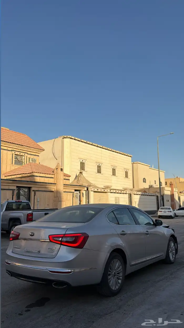 كادينزا 2014 مصدومه 3